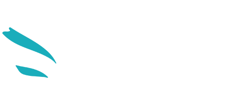 Saudi Federation for Cybersecurity, Programming & Drones